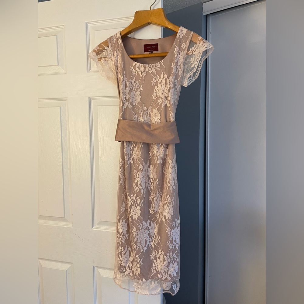 Tiffany Rose Maternity and Nursing Special Occasion Dress Size 0